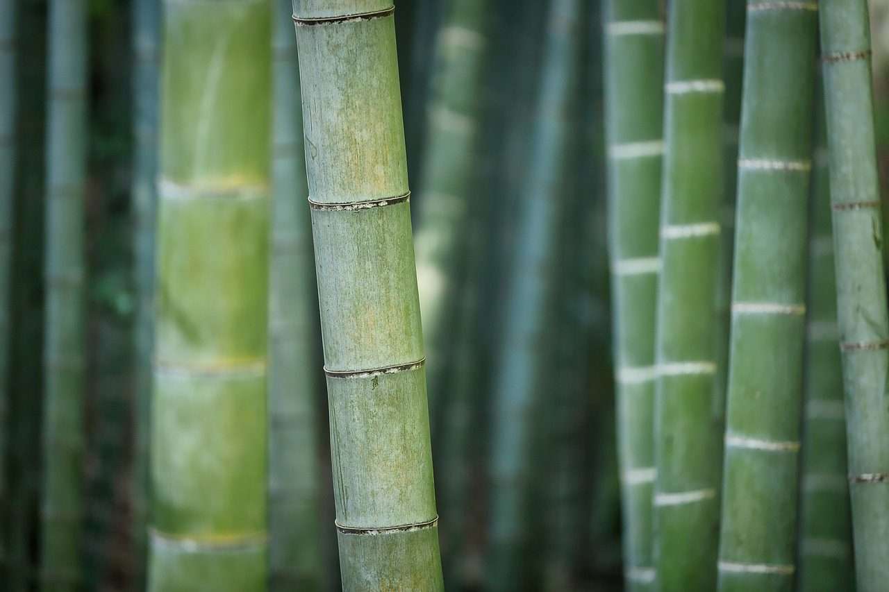 Chinese superstitions